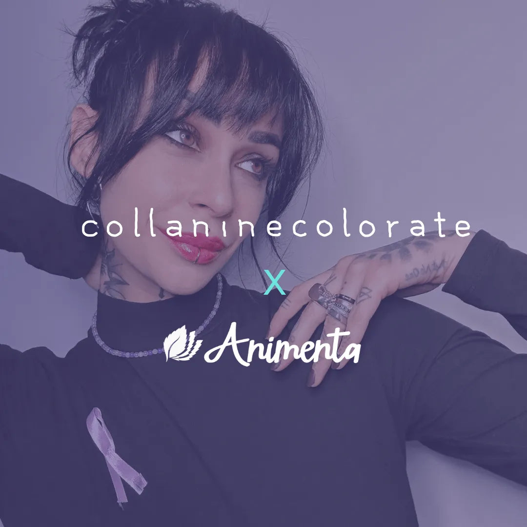 Collanine Colorate x Animenta