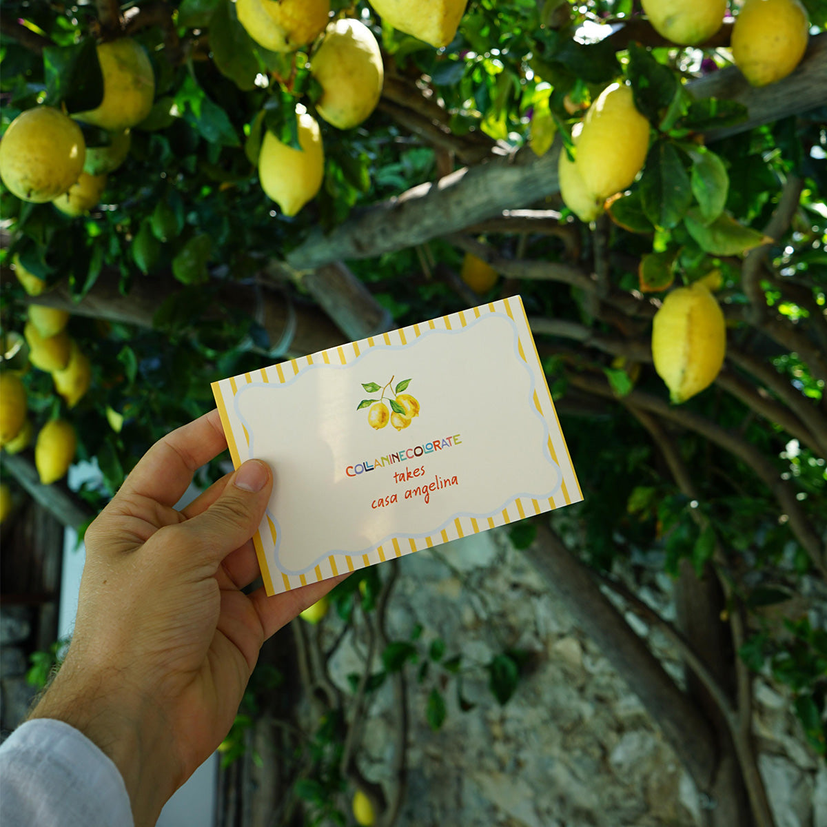 Mano che tiene una thank you card “Collanine Colorate takes Casa Angelina” con sfondo di un albero di limoni in un contesto mediterraneo