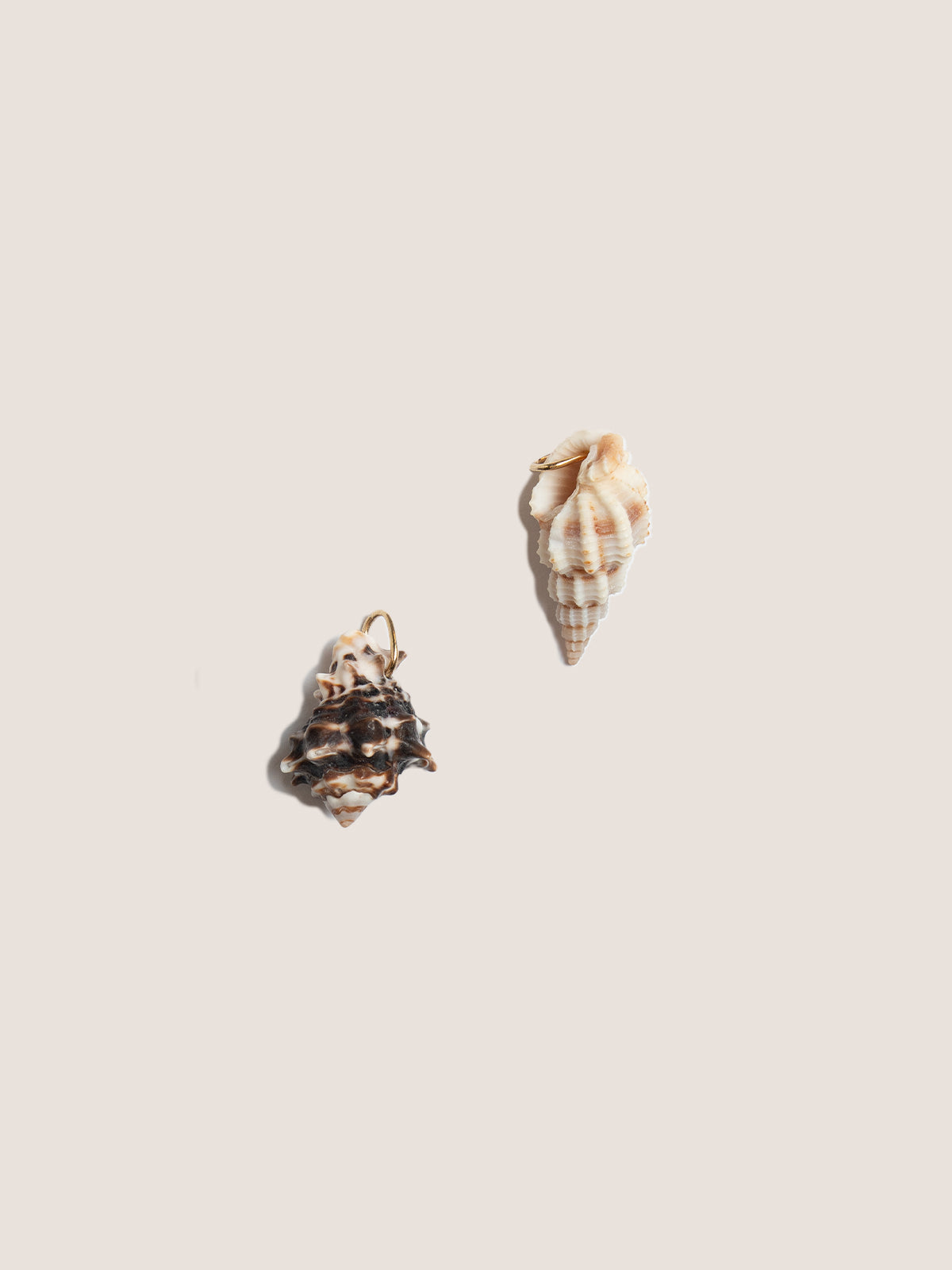 Ciondolo Conchiglia