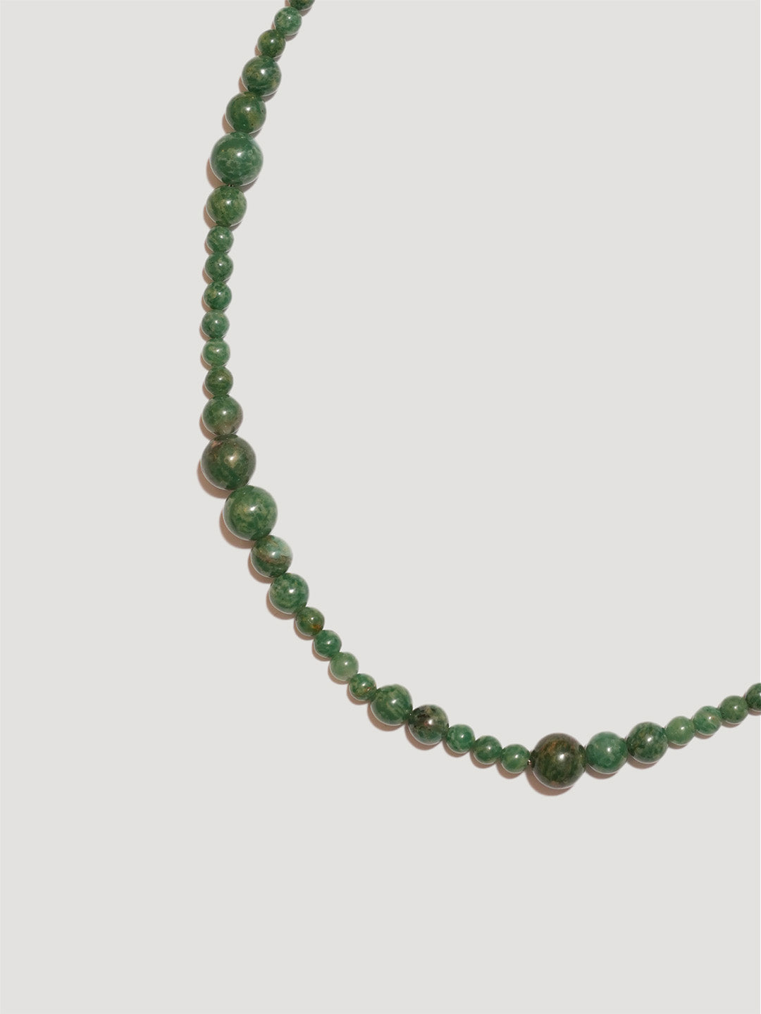 Multi Giada africana