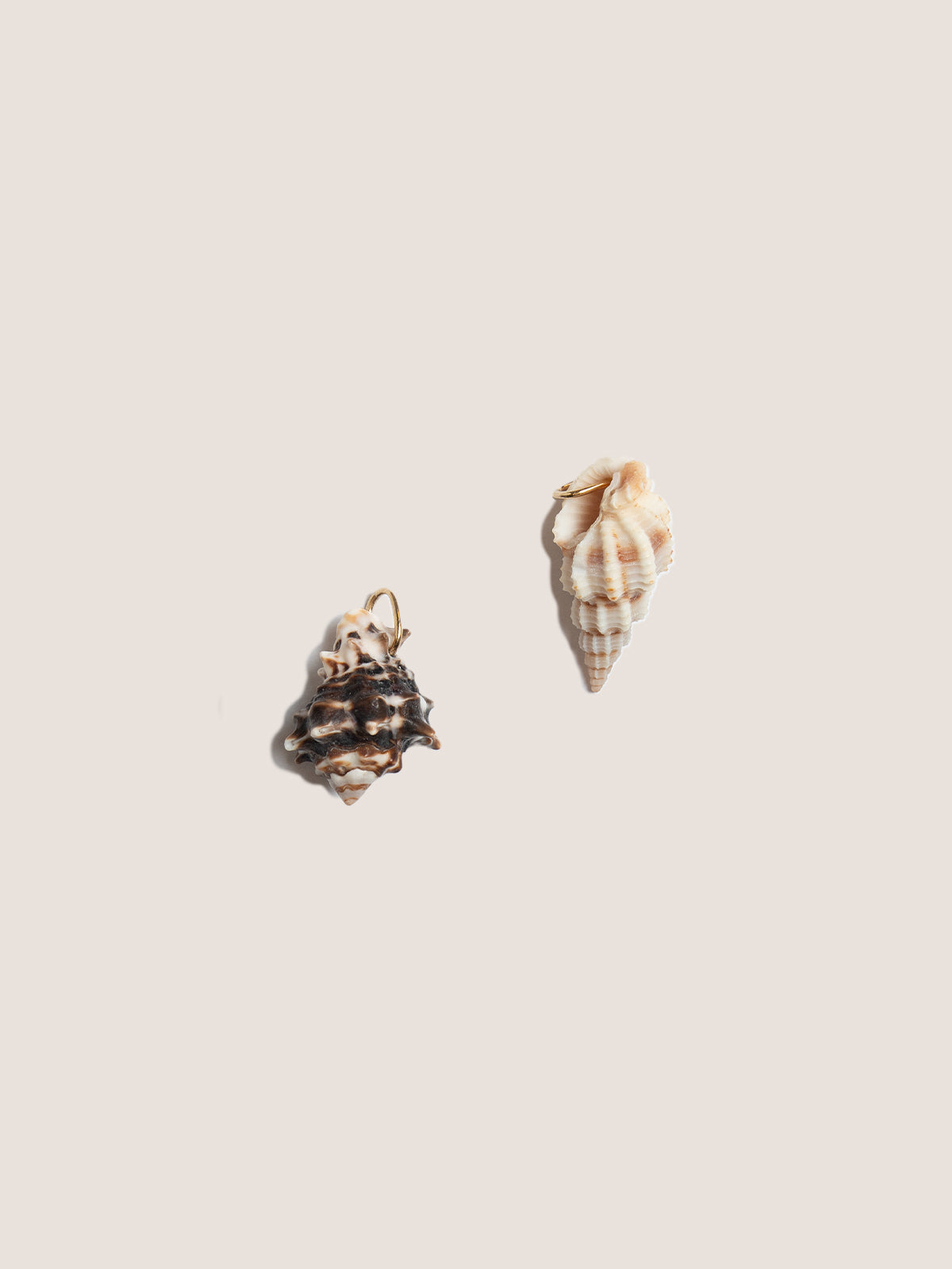 Ciondolo Conchiglia Naturale